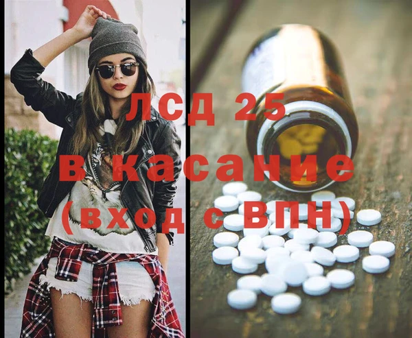 крисы Абаза