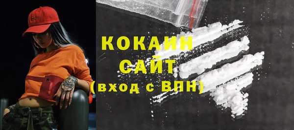 крисы Абаза