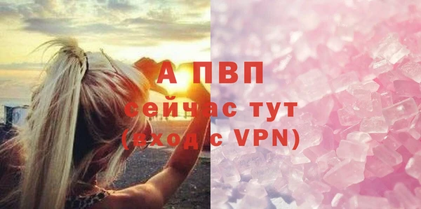 крисы Абаза