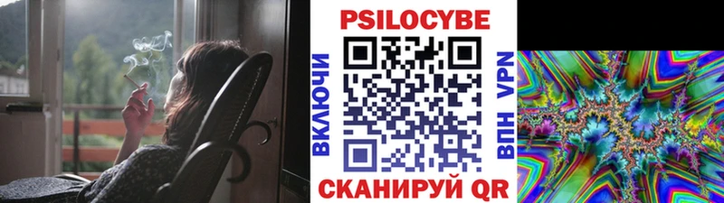 блэк спрут сайт  Ефремов  Псилоцибиновые грибы мицелий  где купить  